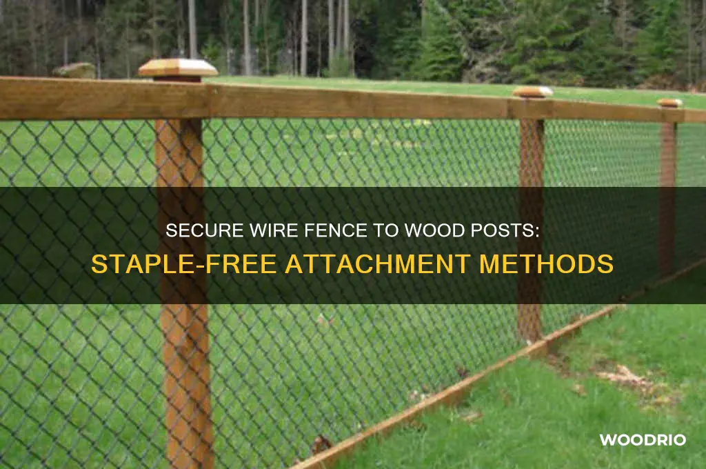 how to attach wire fence to wood post without staples