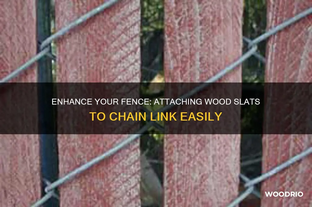 how to attach wood slats to chain link fence