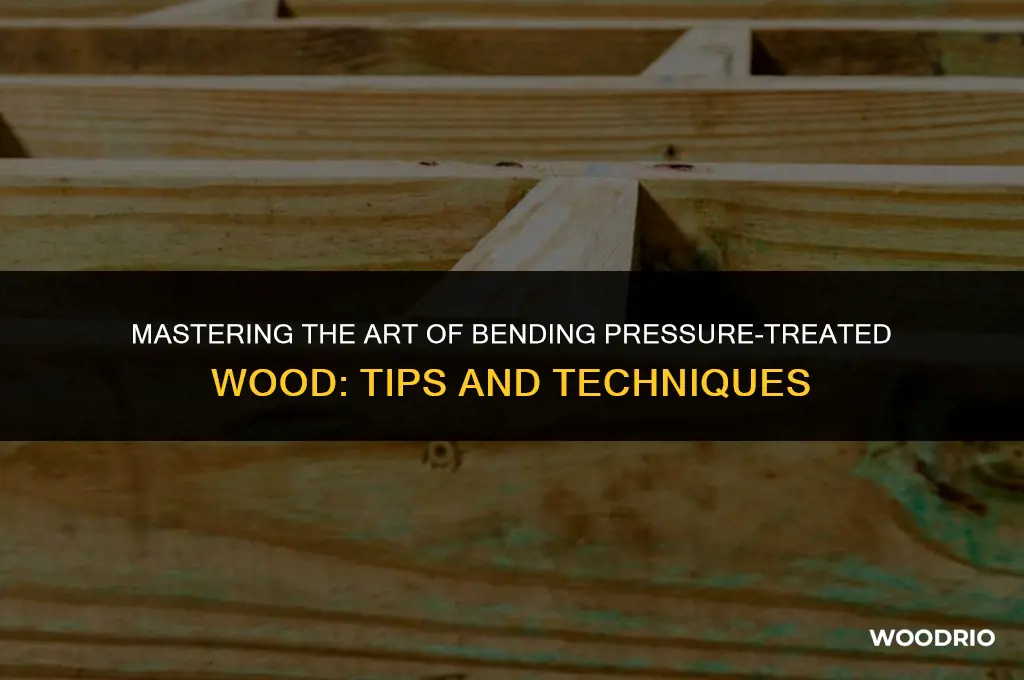 how to bend pressure treated wood