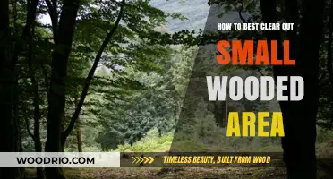 Effective Strategies for Clearing Small Wooded Areas
