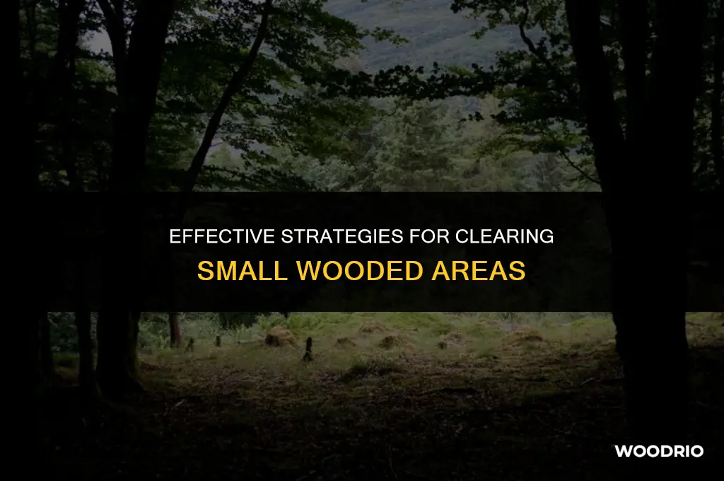 how to best clear out small wooded area