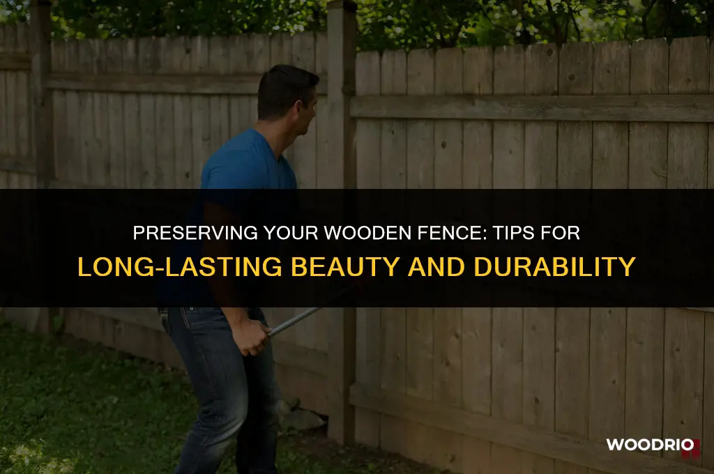 how to best maintain a wooden fence