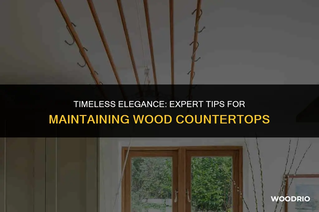 how to best maintain wood countertops