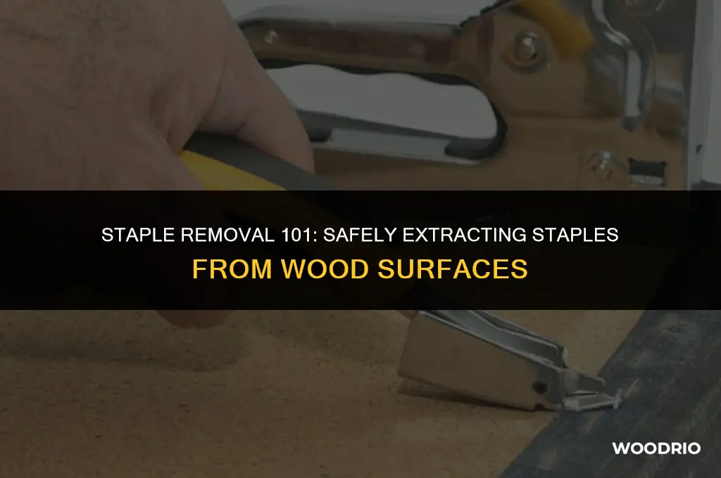 how to best pull staples out of wood