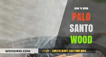 Purifying Spaces: The Art of Burning Palo Santo Wood