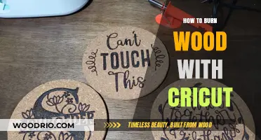 Mastering the Art of Wood Burning with Cricut: A Beginner's Guide