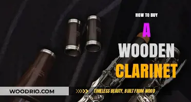 Choosing the Perfect Wooden Clarinet: A Buyer's Essential Guide