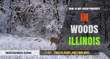Affordable Woodland Living: Your Guide to Buying Cheap Property in Woods, Illinois