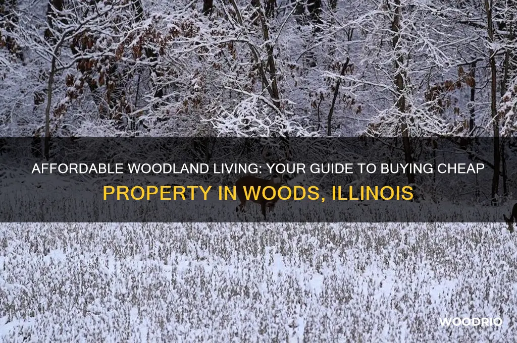 how to buy cheap property in woods illinois