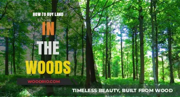 Buying Woodland Property: A Comprehensive Guide to Purchasing Forest Land