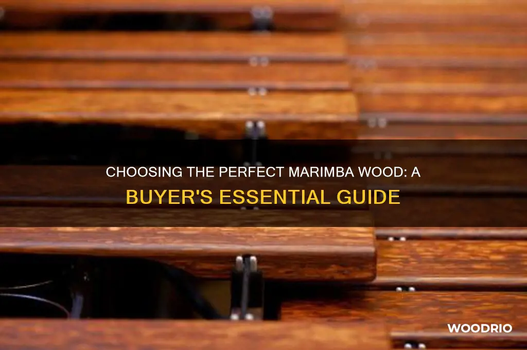 how to buy marimba wood