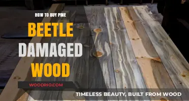 Buying Pine Beetle-Damaged Wood: A Guide to Smart Purchases