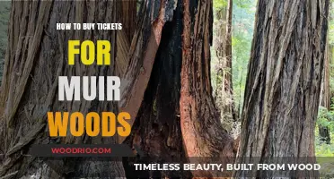 Your Ultimate Guide to Buying Muir Woods Tickets Easily