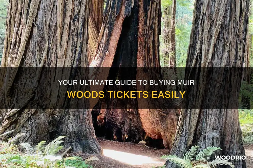 how to buy tickets for muir woods