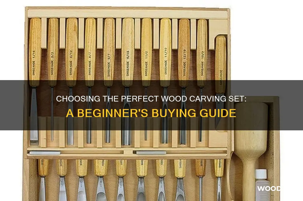 how to buy wood carving set