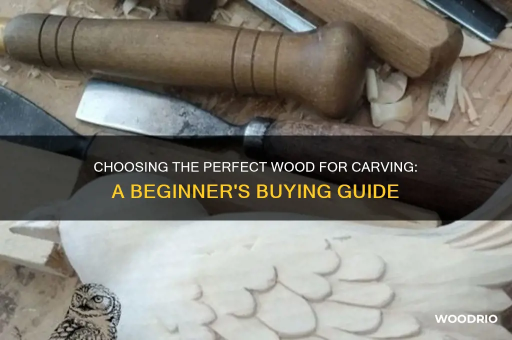 how to buy wood for carving