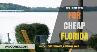 Affordable Wood Buying Tips for Florida DIY Enthusiasts and Builders