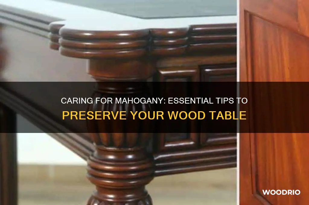 how to care for a mahogany wood table