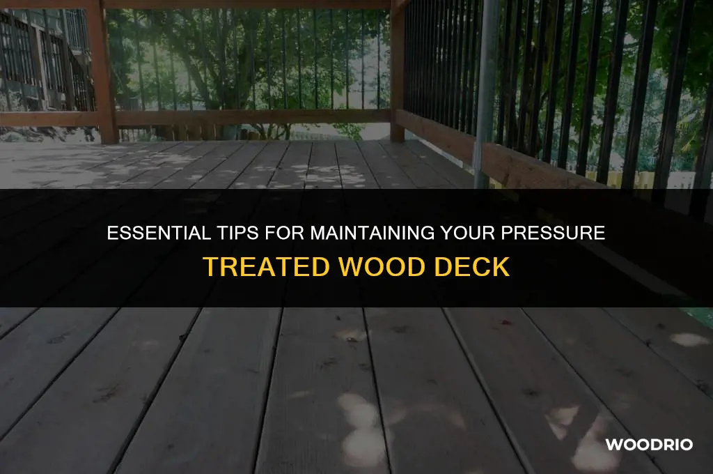 how to care for a pressure treated wood deck