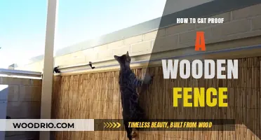 Secure Your Wooden Fence: Effective Cat-Proofing Tips and Tricks