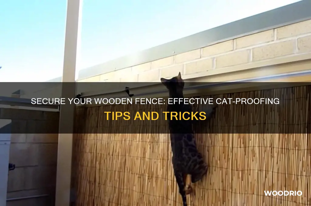 how to cat proof a wooden fence