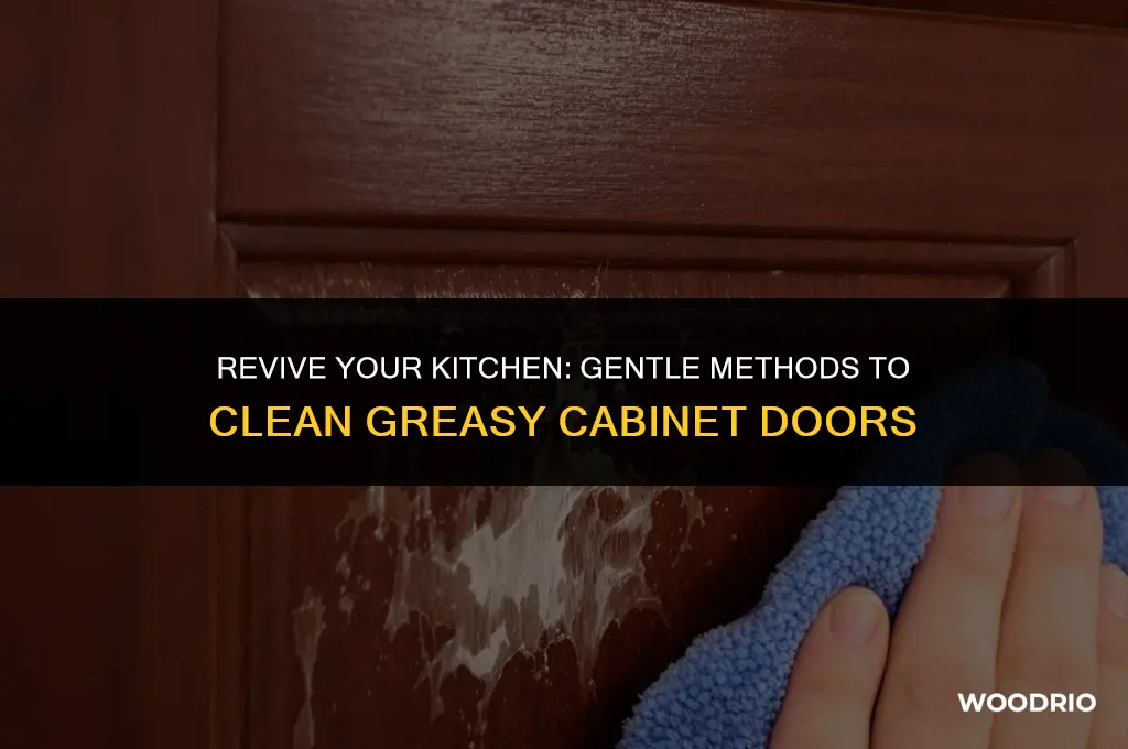 how to clean a greasy gabinet doors without damaging wood