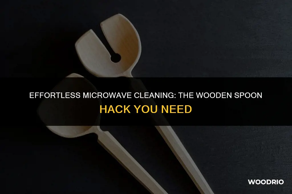 how to clean a microwave with wooden spoon