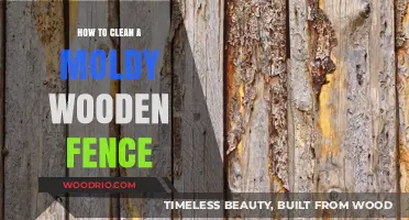 Revive Your Fence: A Step-by-Step Guide to Removing Mold from Wood