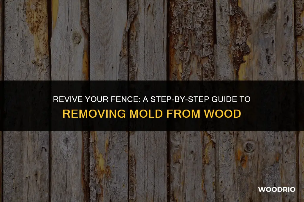how to clean a moldy wooden fence