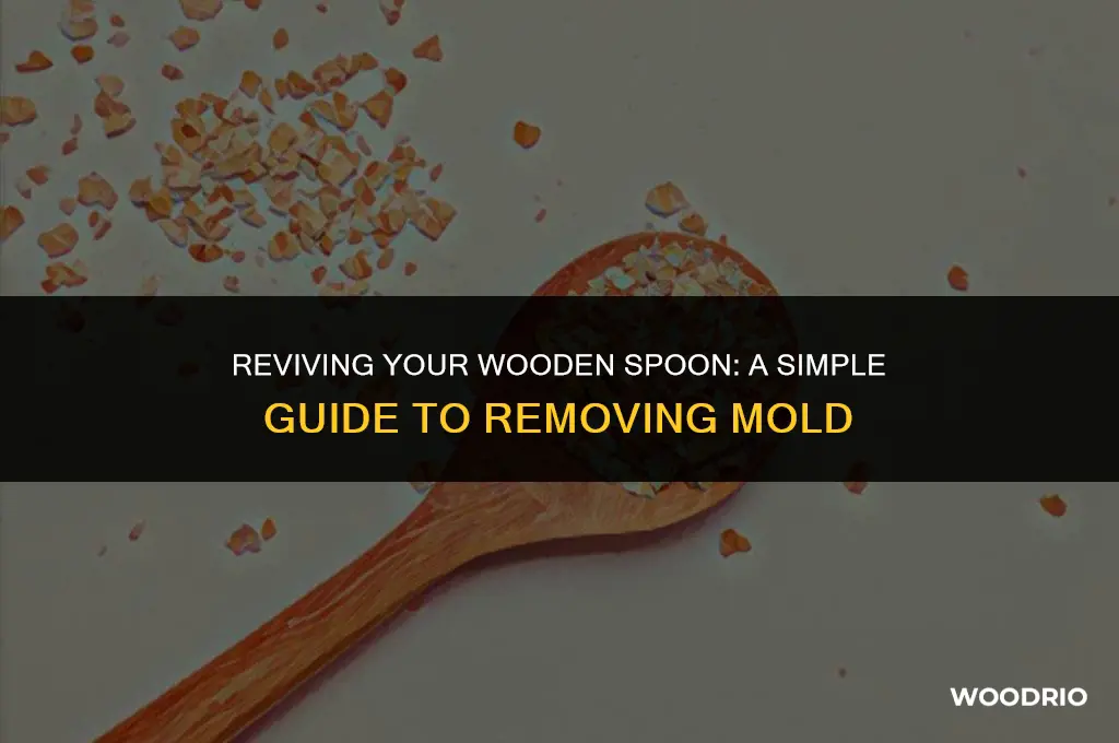 how to clean a moldy wooden spoon
