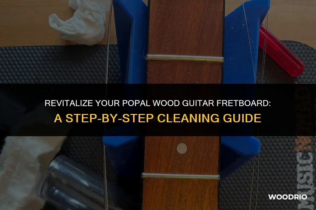 how to clean a popal wood guitar fretboard
