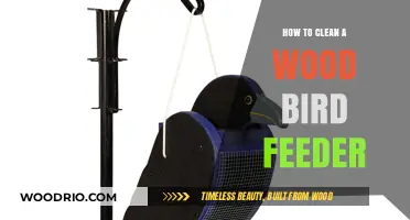 Wooden Bird Feeder Maintenance: A Step-by-Step Cleaning Guide