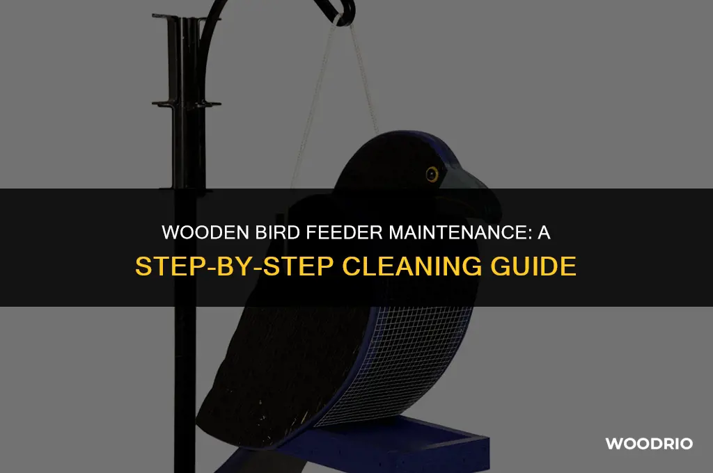 how to clean a wood bird feeder