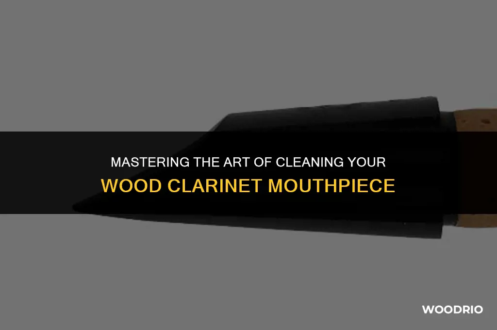 how to clean a wood clarinet mouthpiece