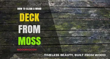 Revive Your Wood Deck: A Step-by-Step Guide to Moss Removal