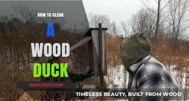 Mastering the Art of Cleaning a Wood Duck: A Step-by-Step Guide