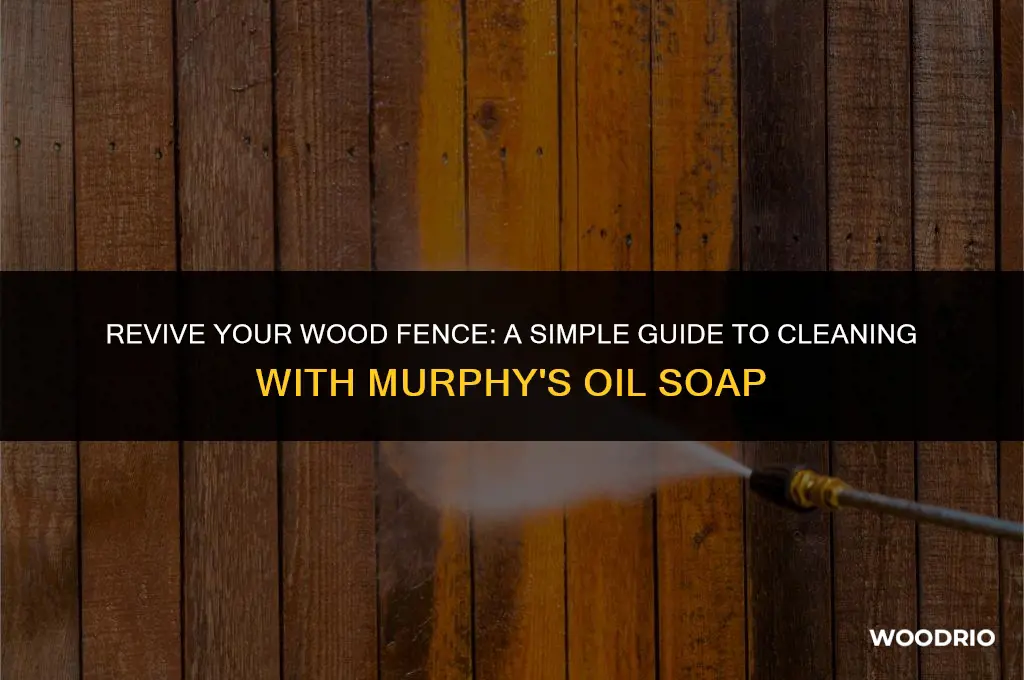 how to clean a wood fence with murphy