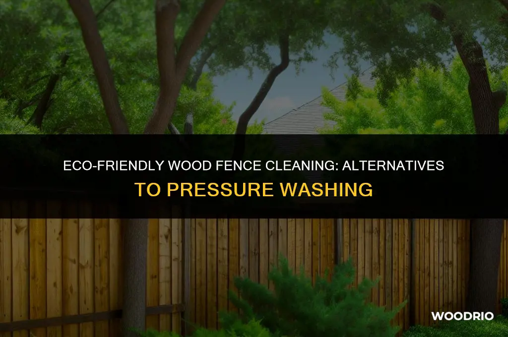 how to clean a wood fence without pressure washing