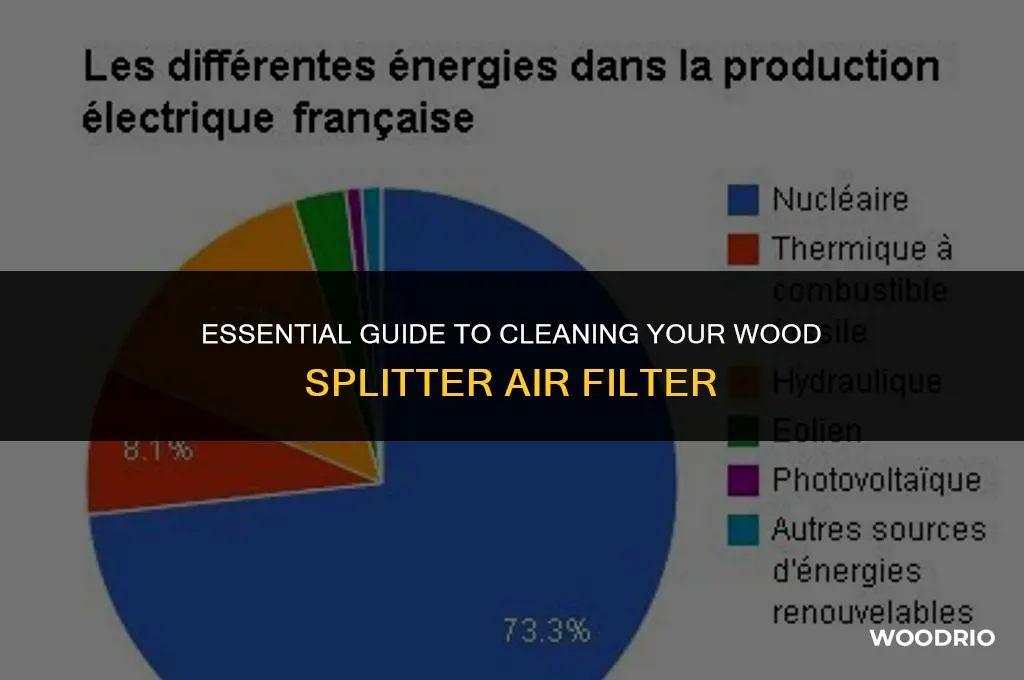 how to clean a wood splitter air filter