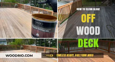Effective Methods to Remove Algae from Your Wood Deck