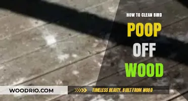 Effective Tips for Removing Bird Droppings from Wooden Surfaces