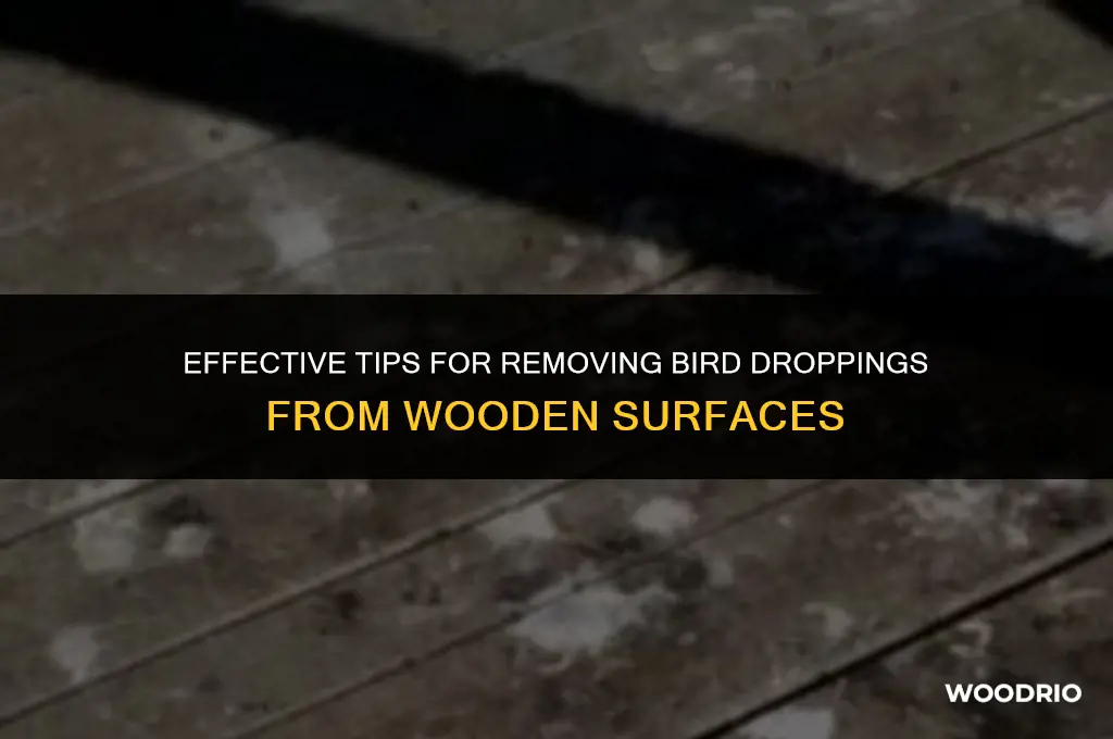 how to clean bird poop off wood
