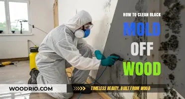 Effective Strategies for Removing Black Mold from Wood Surfaces
