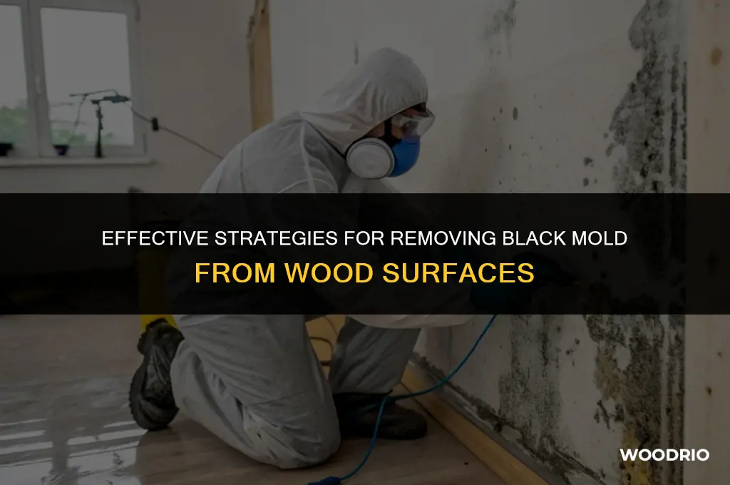 how to clean black mold off wood