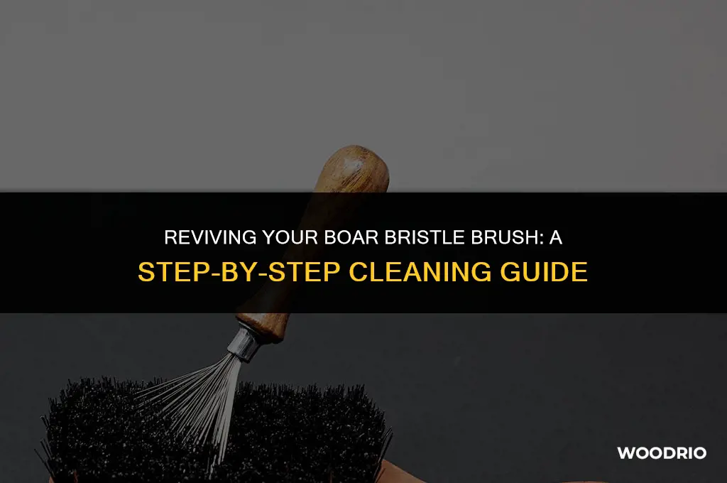 how to clean boar bristle brush with wooden handle