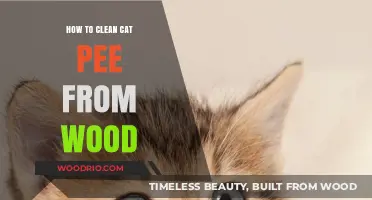 Effective Tips for Removing Cat Pee Stains from Wood Surfaces