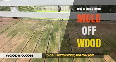 Effective Methods to Remove Green Mold from Wood Surfaces