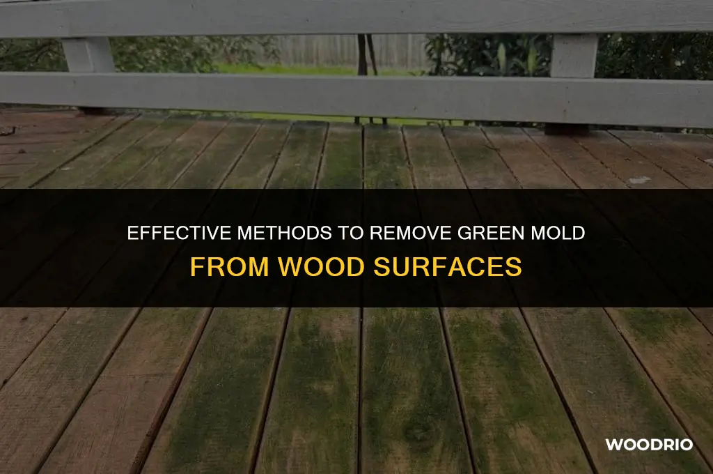 how to clean green mold off wood