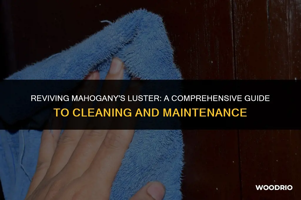 how to clean mahogany wood