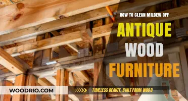 Restoring Elegance: Mildew Removal from Antique Wood Furniture